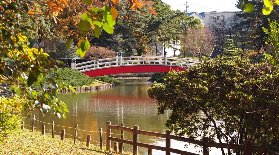 🌳 우에노다이 공원 이미지 1